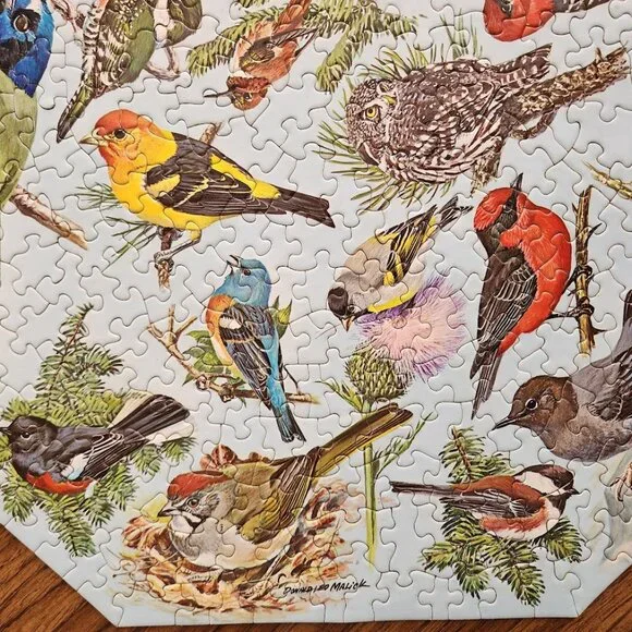 Vintage 500 Piece 1968 Springbok Octagon jigsaw Puzzle Western Birds by …